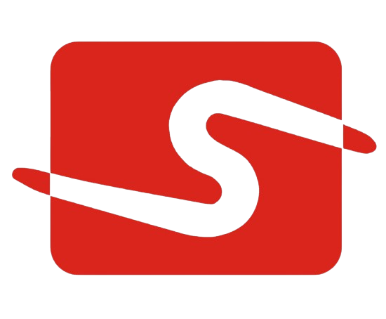 Skan Fin. Tech Services